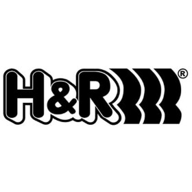 H&R Spurverbreiterung silber DR 10mm für Audi RS4 B5 Avant 1055571