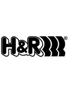 H&R Spurverbreiterung silber DR 24mm für Citroen C3 5-Türer 2434650